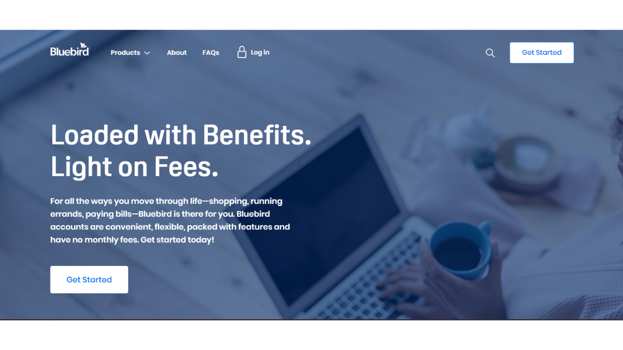 Bluebird® Financial Solutions Review: Streamlined Banking Made Simple